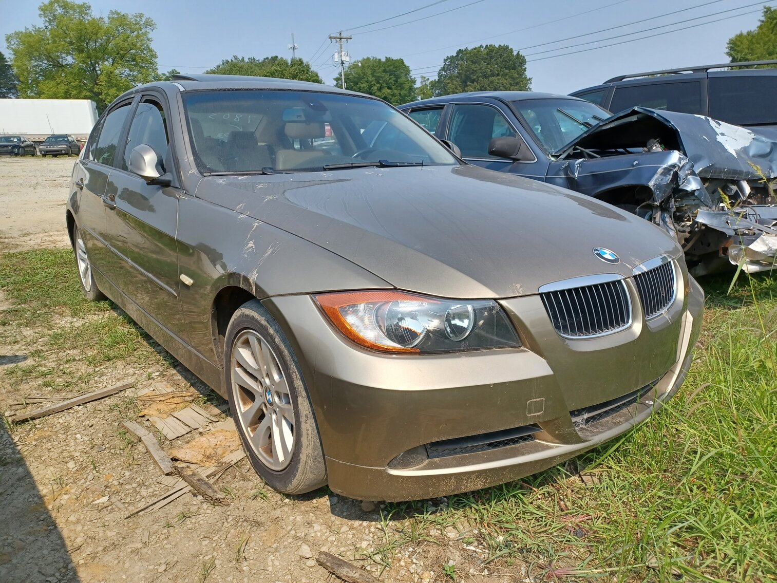 Image for August 2023 Impounds