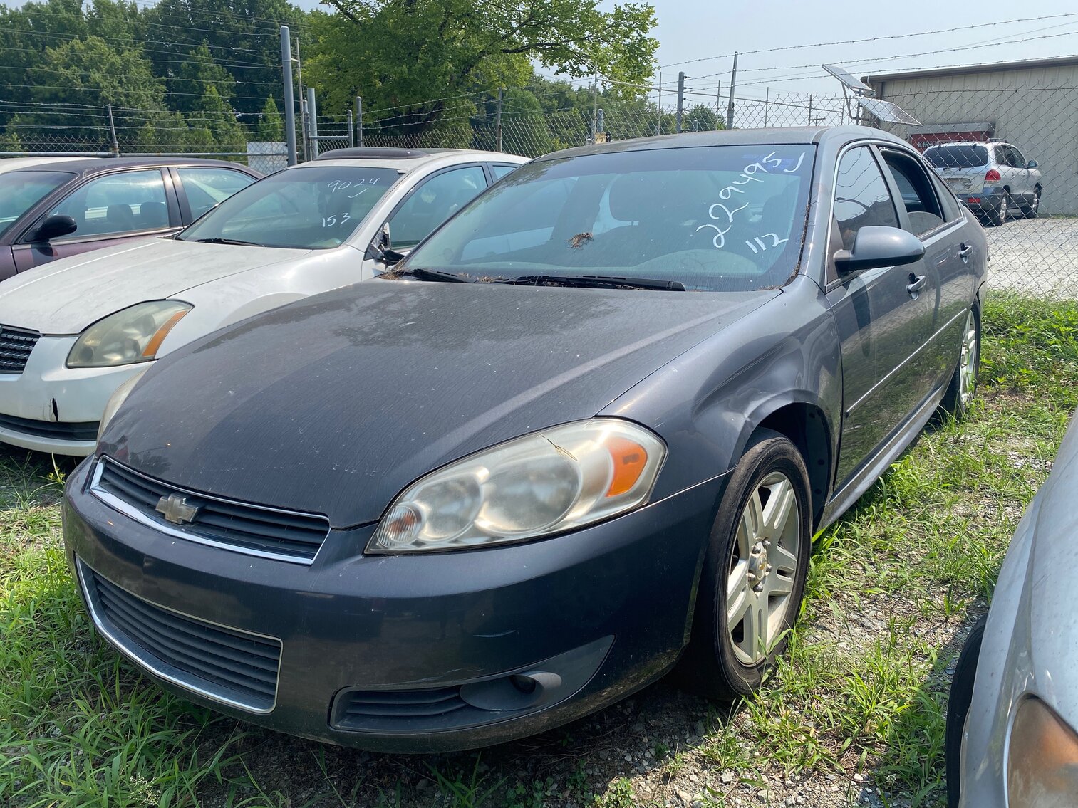 Image for August 2023 Impounds