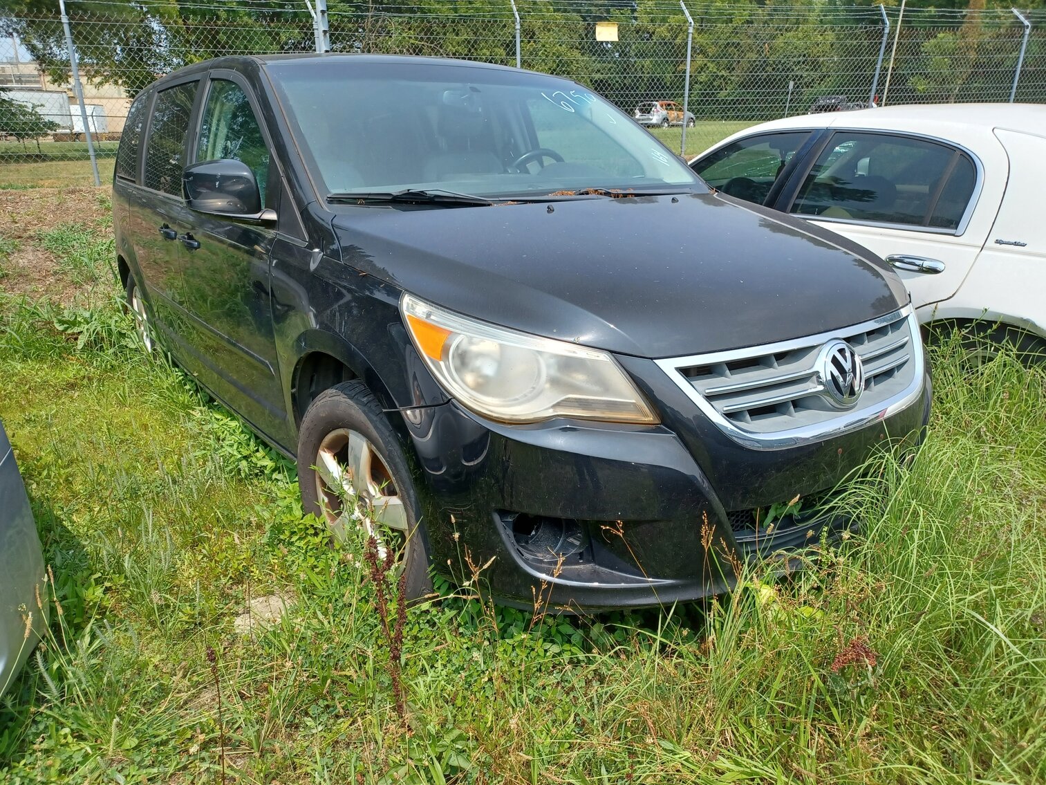 Image for August 2023 Impounds