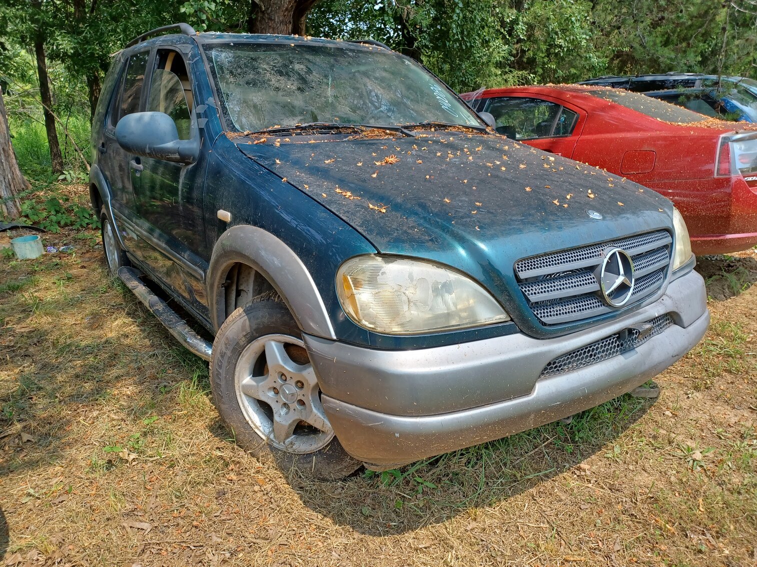 Image for August 2023 Impounds