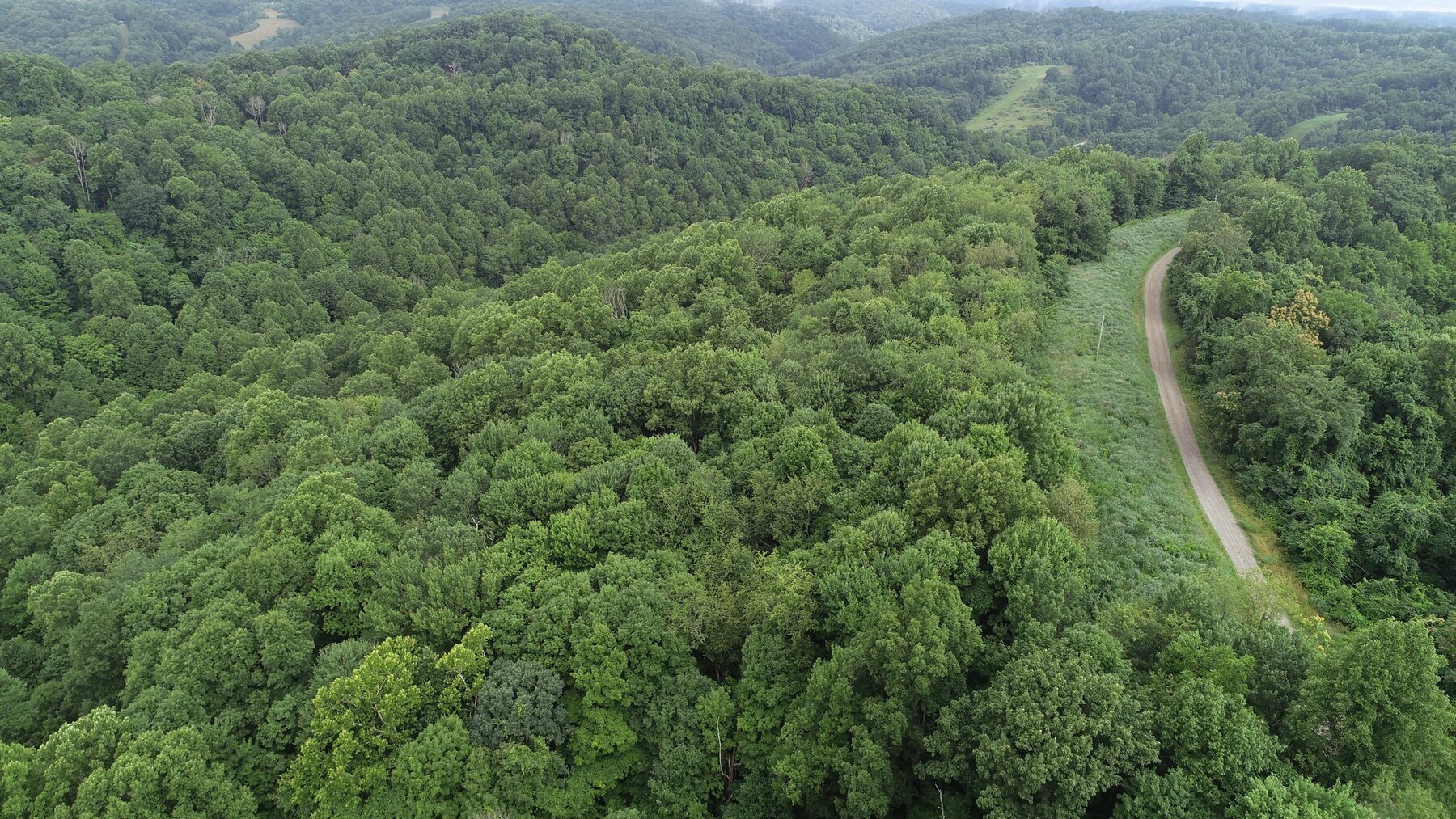 Image for SOLD $35,750 - 20.5 Wooded Acres Selling to the Highest Bidder