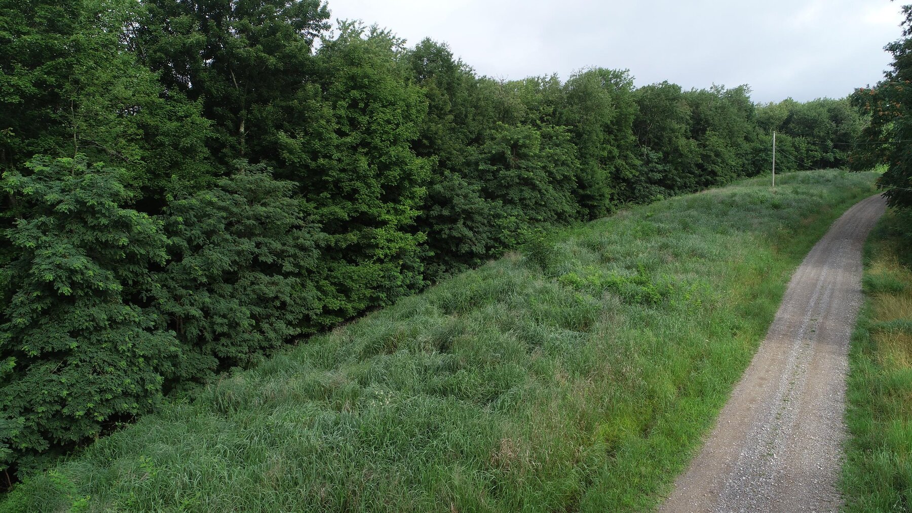 Image for SOLD $35,750 - 20.5 Wooded Acres Selling to the Highest Bidder