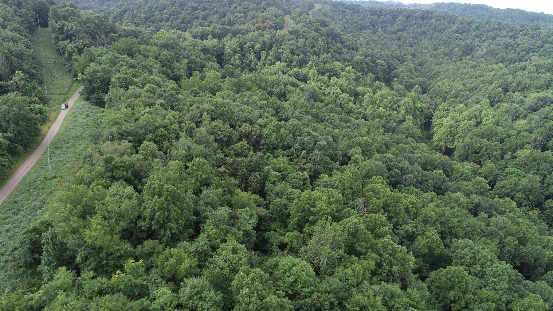 Image for SOLD $35,750 - 20.5 Wooded Acres Selling to the Highest Bidder