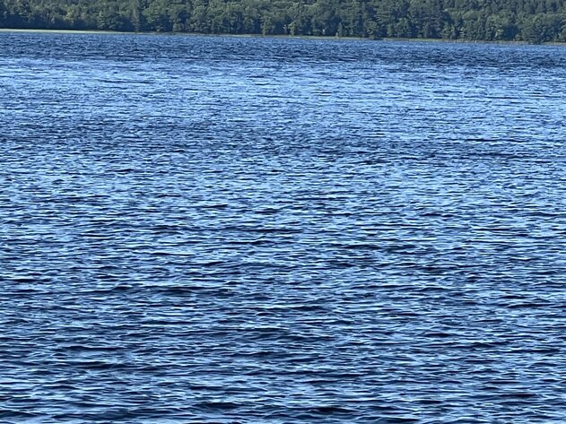 Image for Laona, Wi. Real-Estate Auction ** Home on Silver Lake  ** Sold $352,000