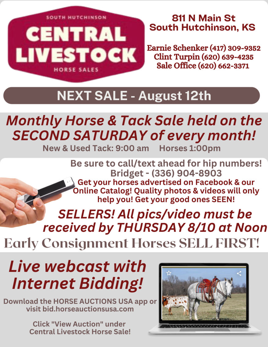 Image for Central Livestock Horse Sale - August 12th - South Hutchinson, Kansas