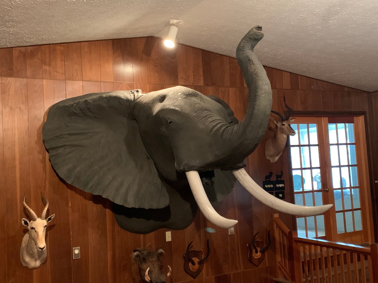 Jane Lew, WV Summer 2023 Guns, Ammo, Taxidermy & Knives Auction