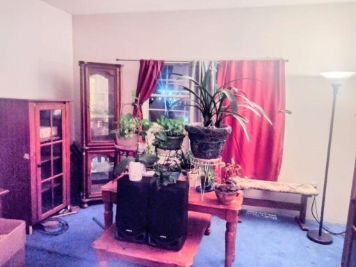 Image for SOLD $41,800 - 3 Bedroom Near Downtown Charleston