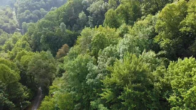 Image for SOLD $132,000 - Home, 2 Mobile Homes, & Garage Selling to the Highest Bidder