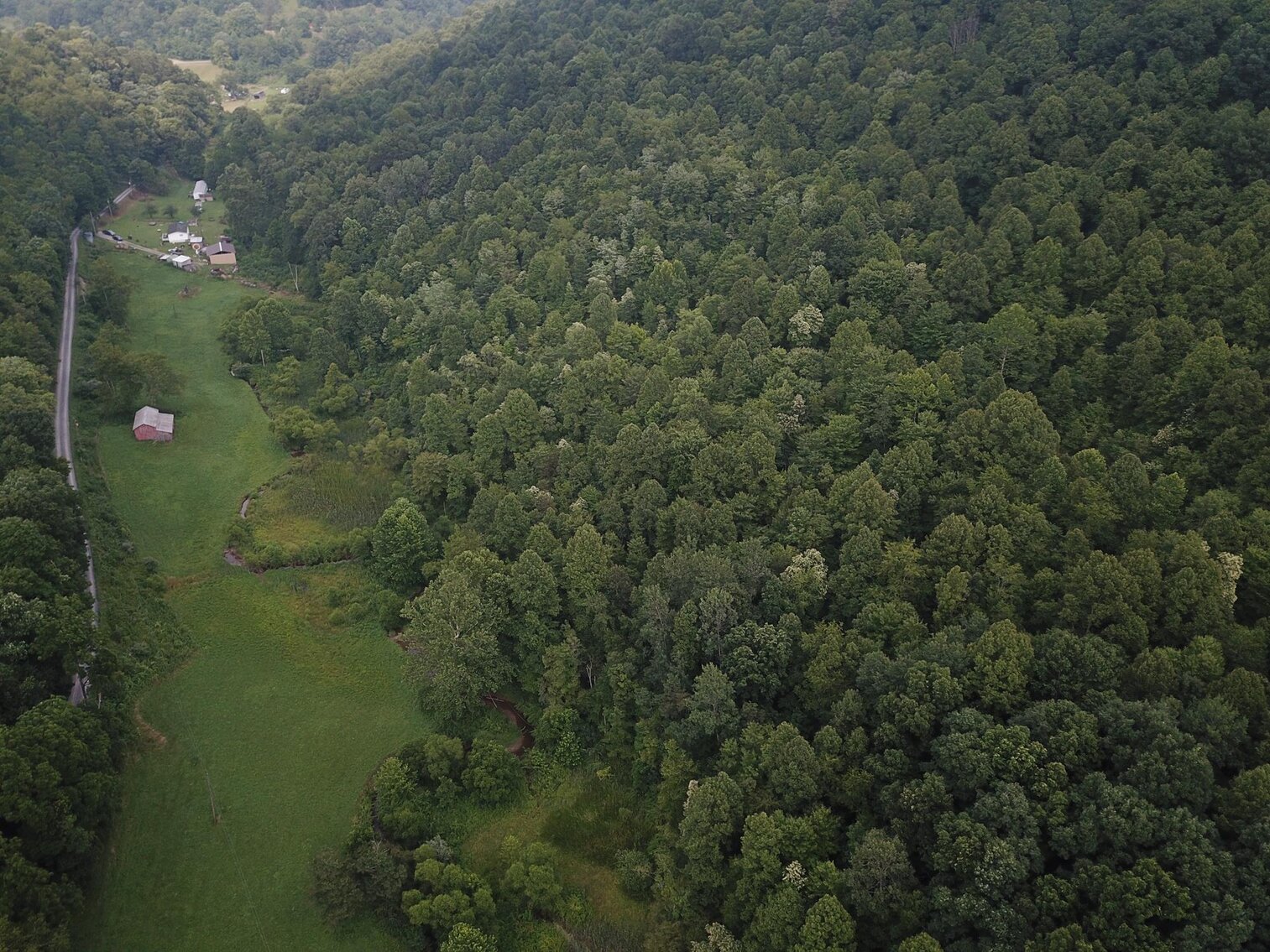 Image for SOLD $135,300 65 Acres of Prime Hunting Land with a Cabin