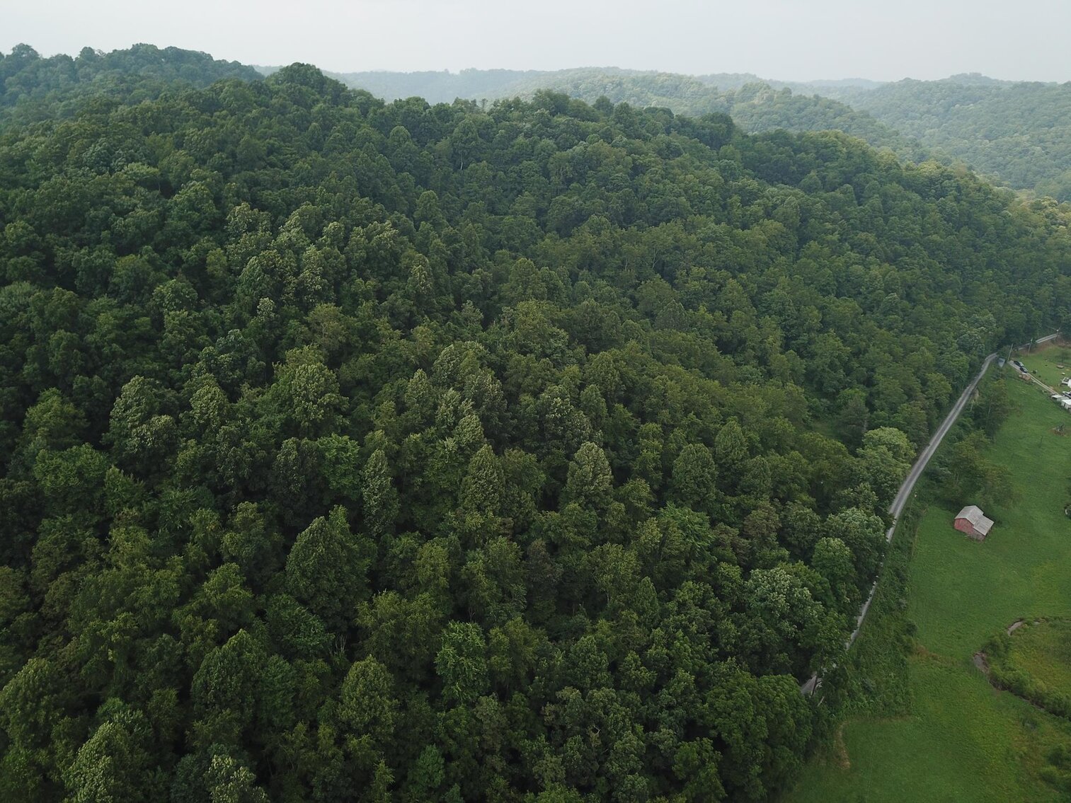 Image for SOLD $135,300 65 Acres of Prime Hunting Land with a Cabin