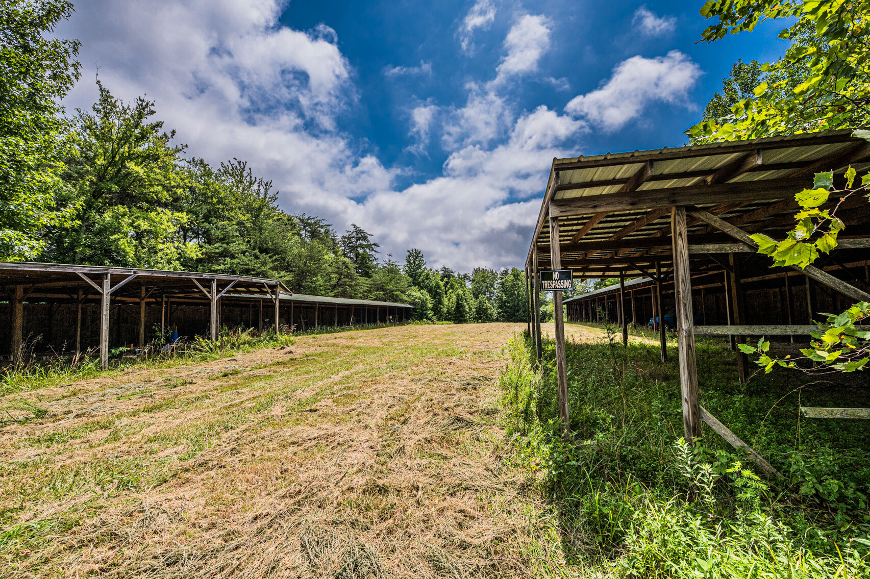 Image for 98.08 +/- Acres・Dunmor Deer Lick Road・Lewisburg・KY