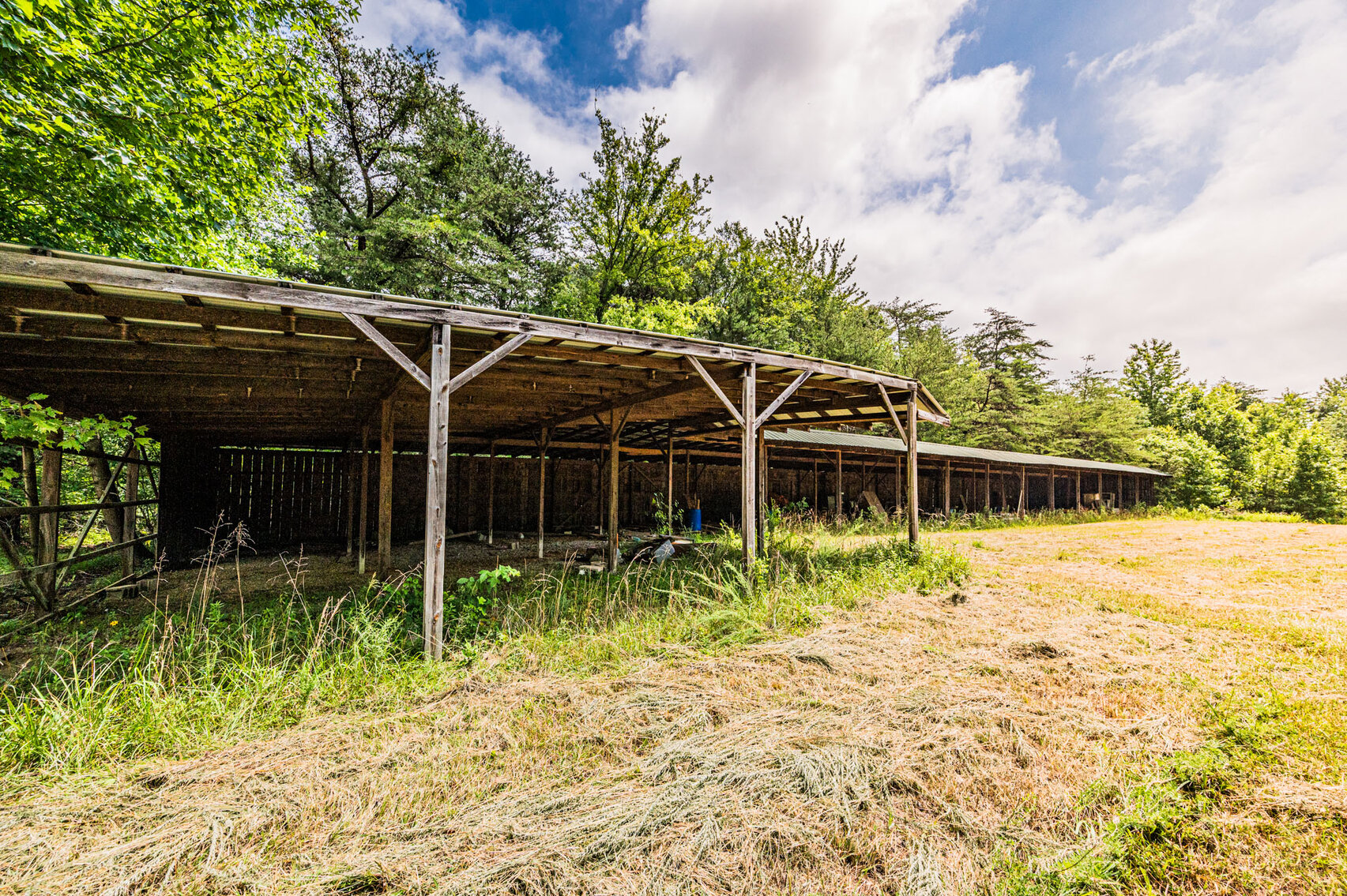 Image for 98.08 +/- Acres・Dunmor Deer Lick Road・Lewisburg・KY