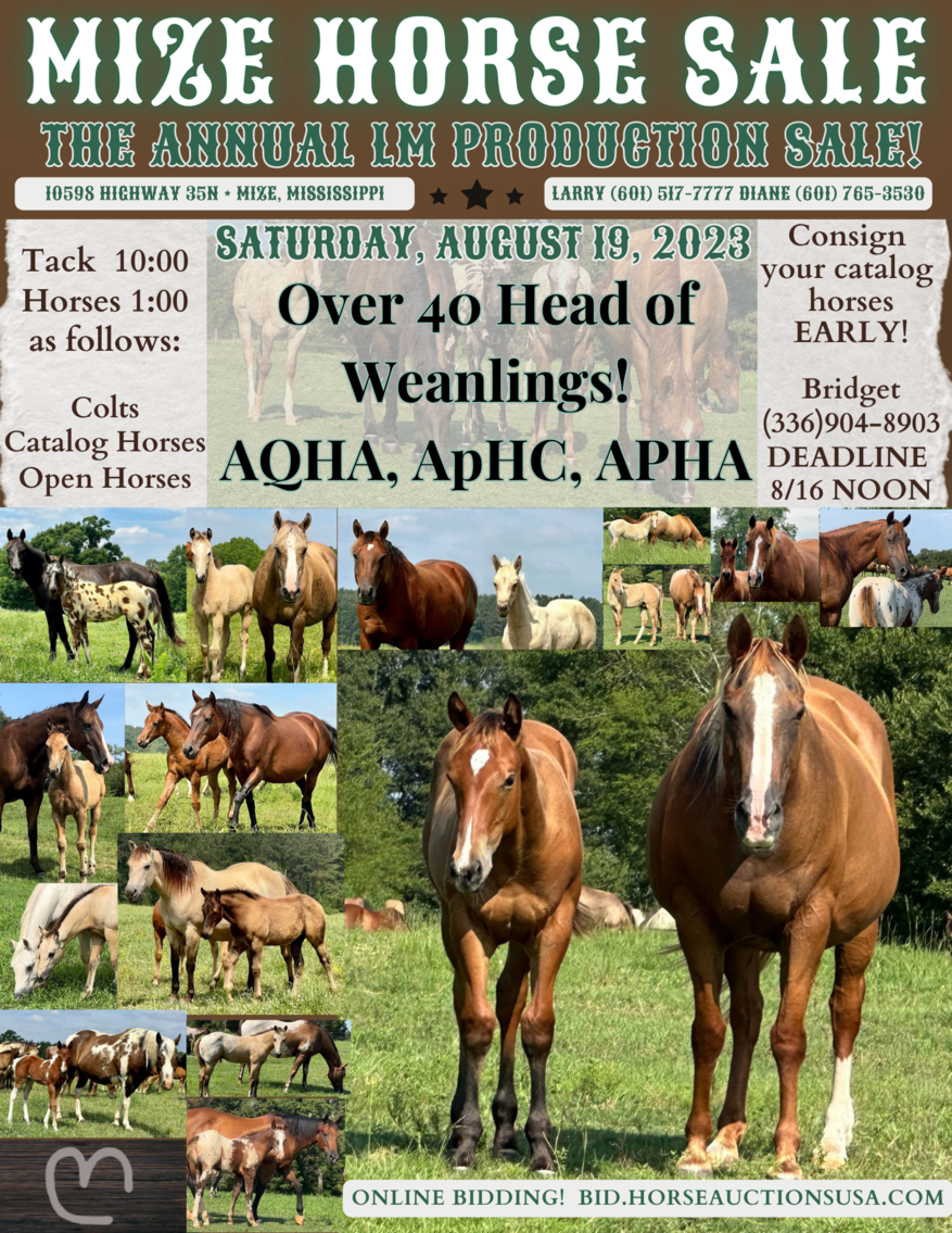 Image for Mize Horse Sale **Annual LM Production Sale - 