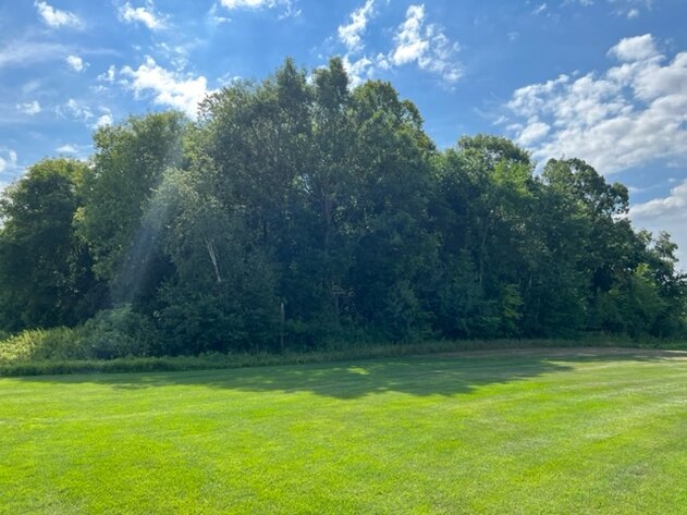 Image for Zimmerman Area Real Estate