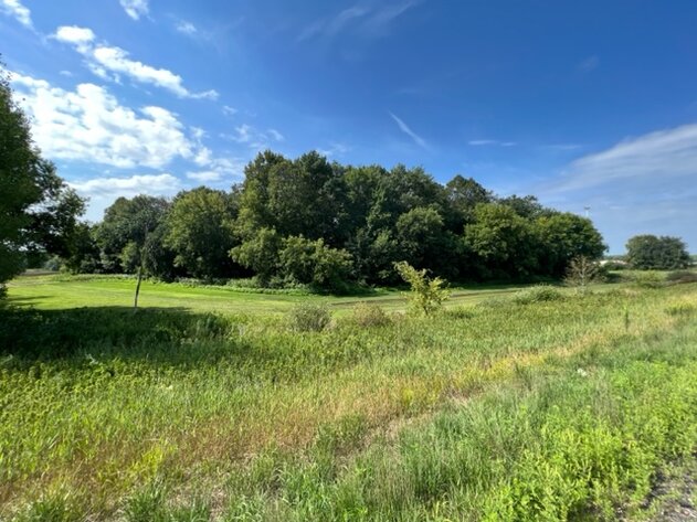 Image for Zimmerman Area Real Estate