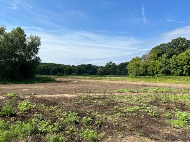 Image for Zimmerman Area Real Estate