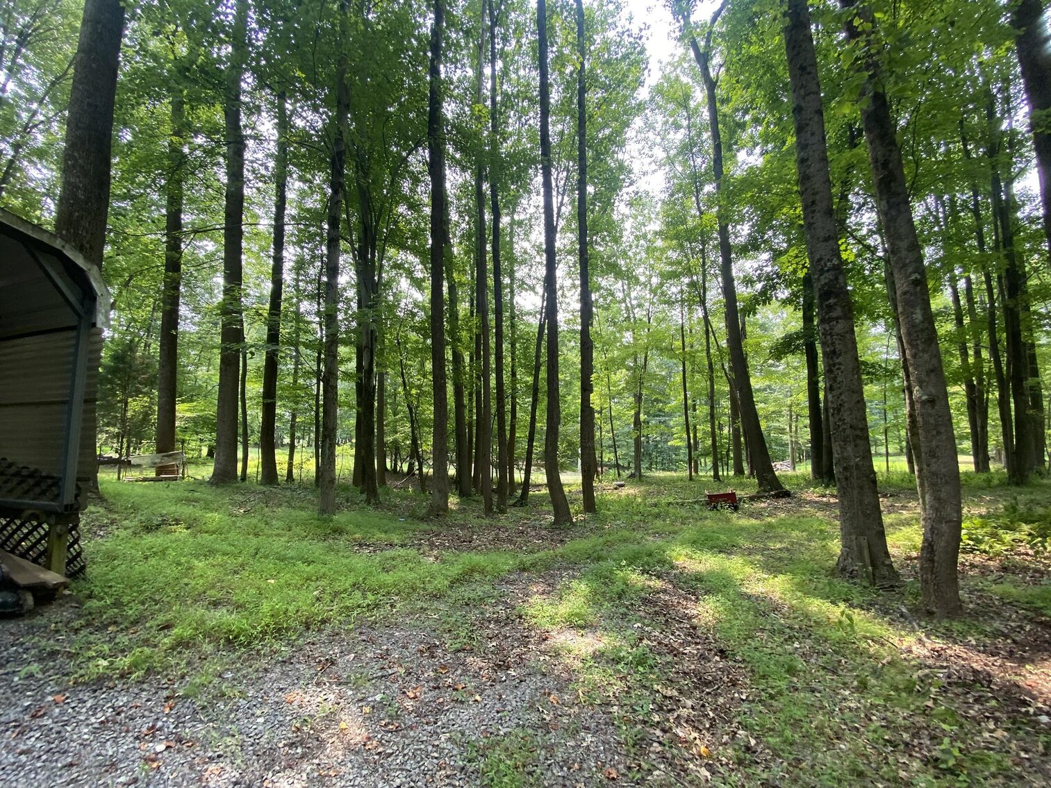 Image for SOLD $151,250 - 2.5 Wooded Acres with Mobile Home Selling to the Highest Bidder