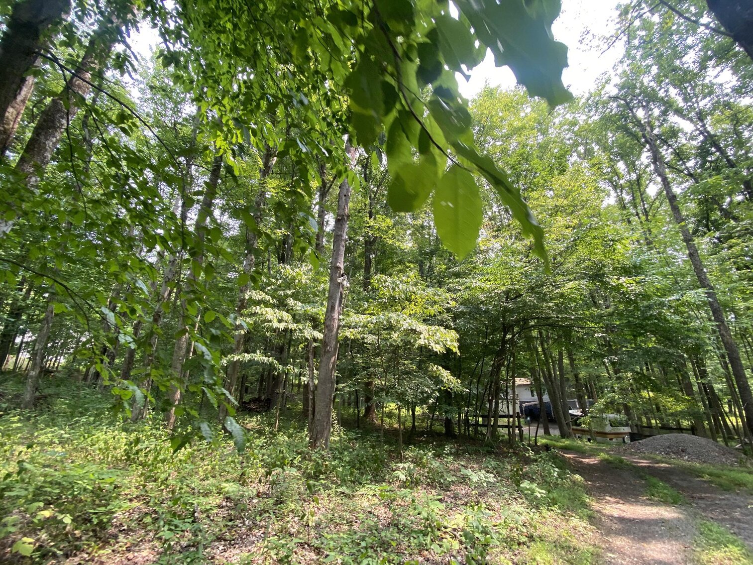 Image for SOLD $151,250 - 2.5 Wooded Acres with Mobile Home Selling to the Highest Bidder