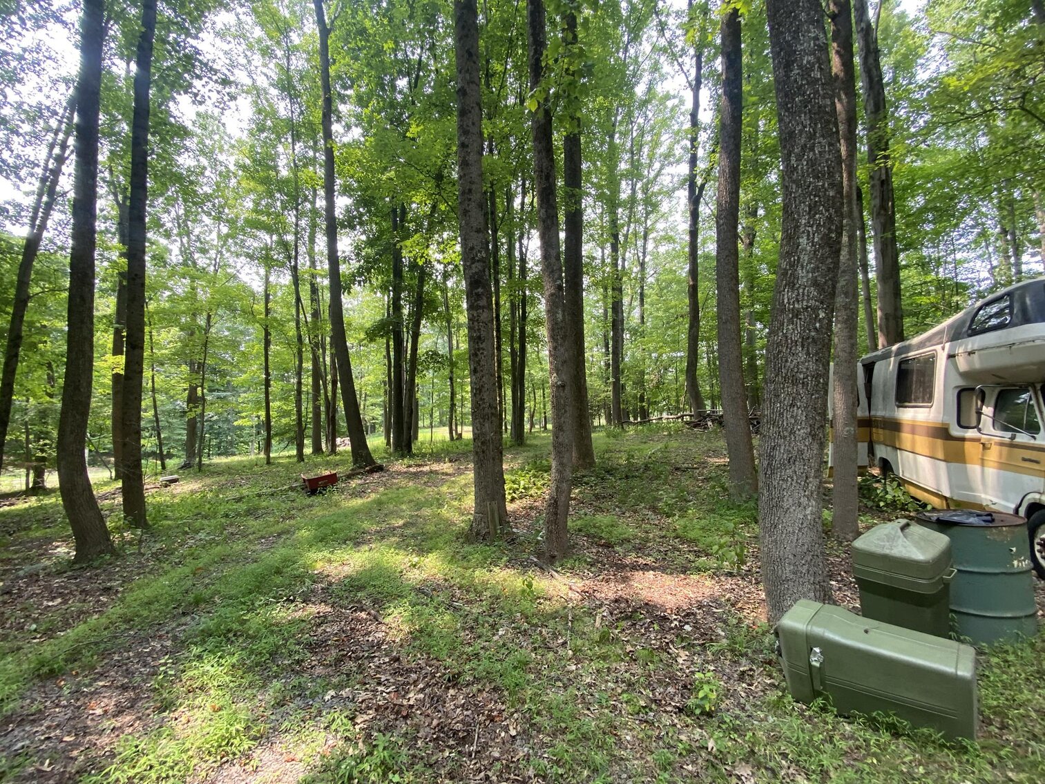 Image for SOLD $151,250 - 2.5 Wooded Acres with Mobile Home Selling to the Highest Bidder