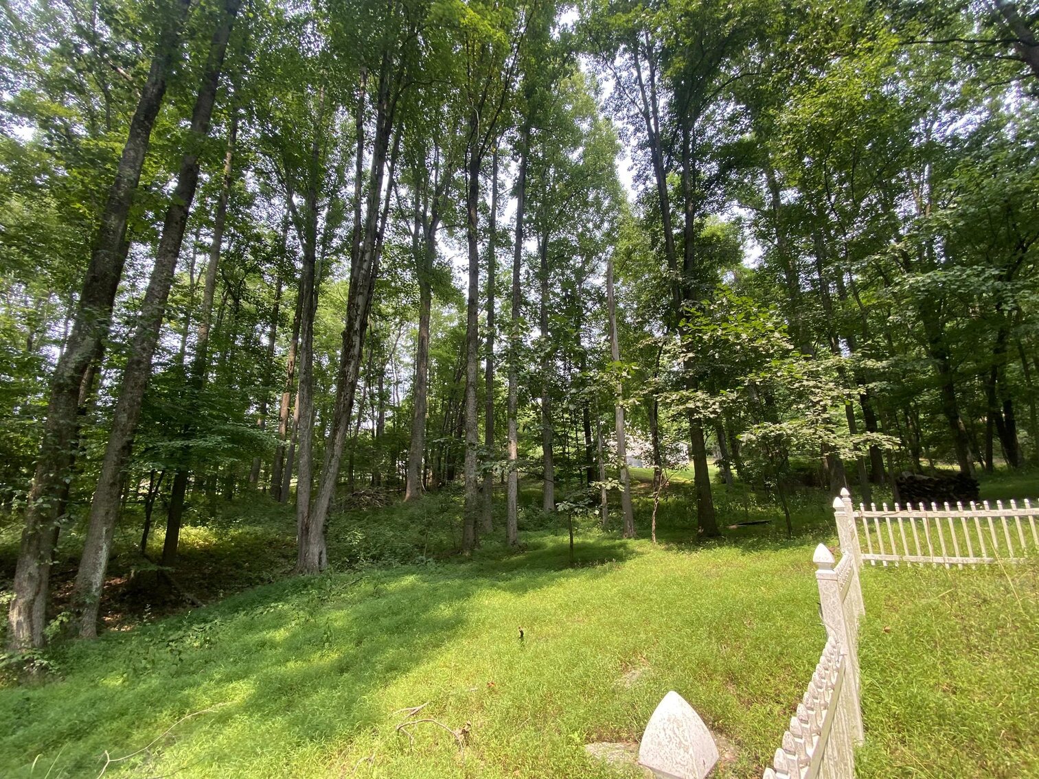 Image for SOLD $151,250 - 2.5 Wooded Acres with Mobile Home Selling to the Highest Bidder