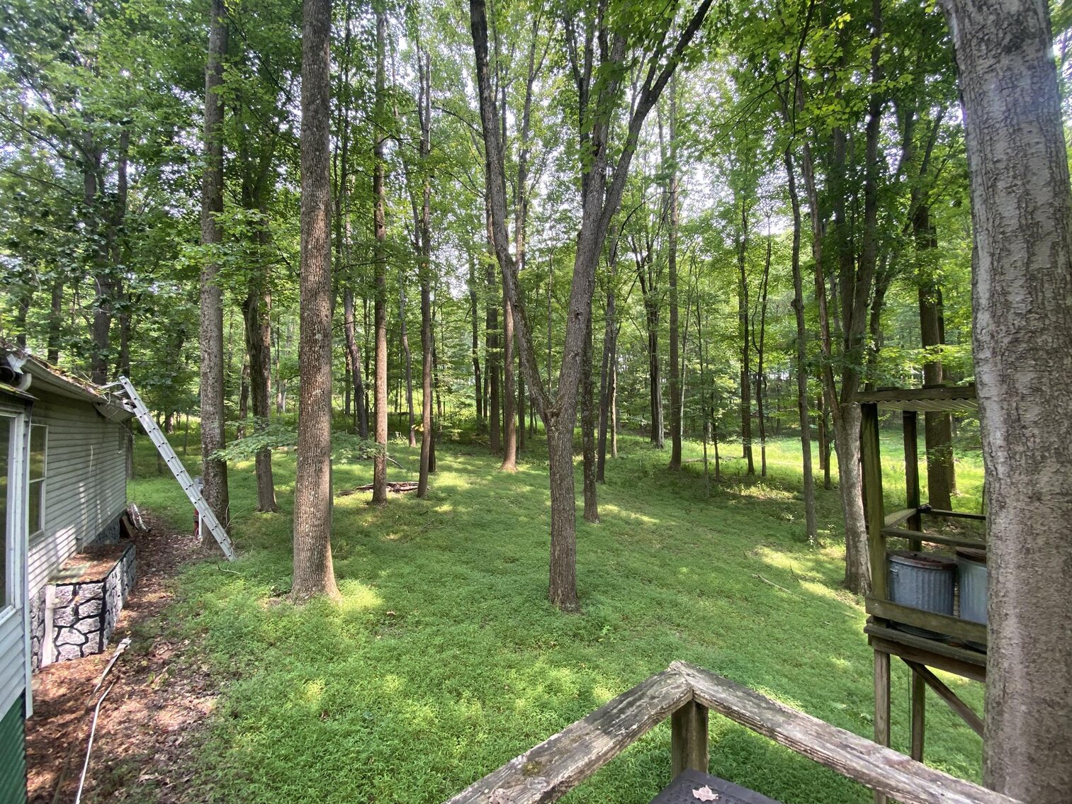 Image for SOLD $151,250 - 2.5 Wooded Acres with Mobile Home Selling to the Highest Bidder