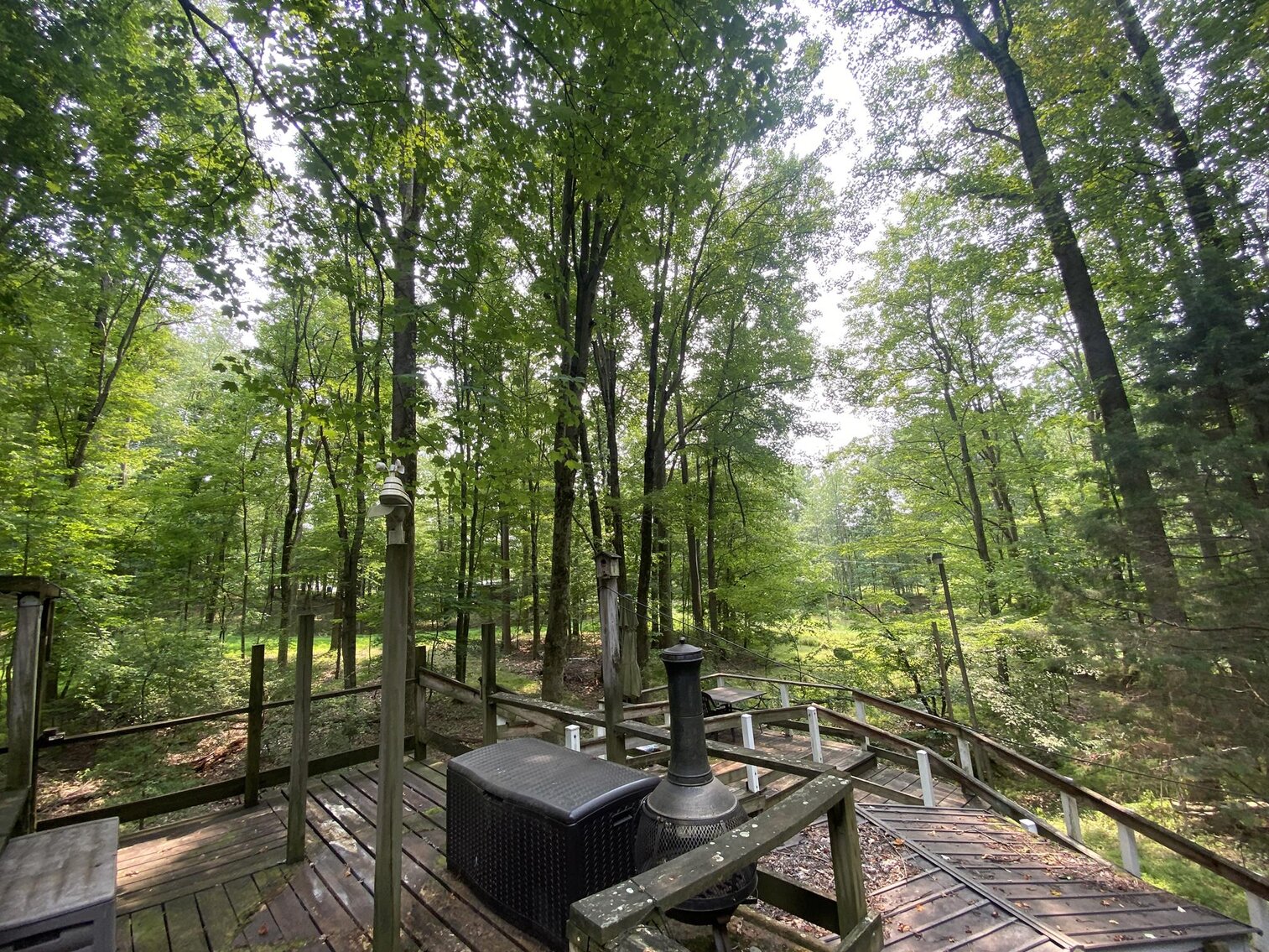 Image for SOLD $151,250 - 2.5 Wooded Acres with Mobile Home Selling to the Highest Bidder