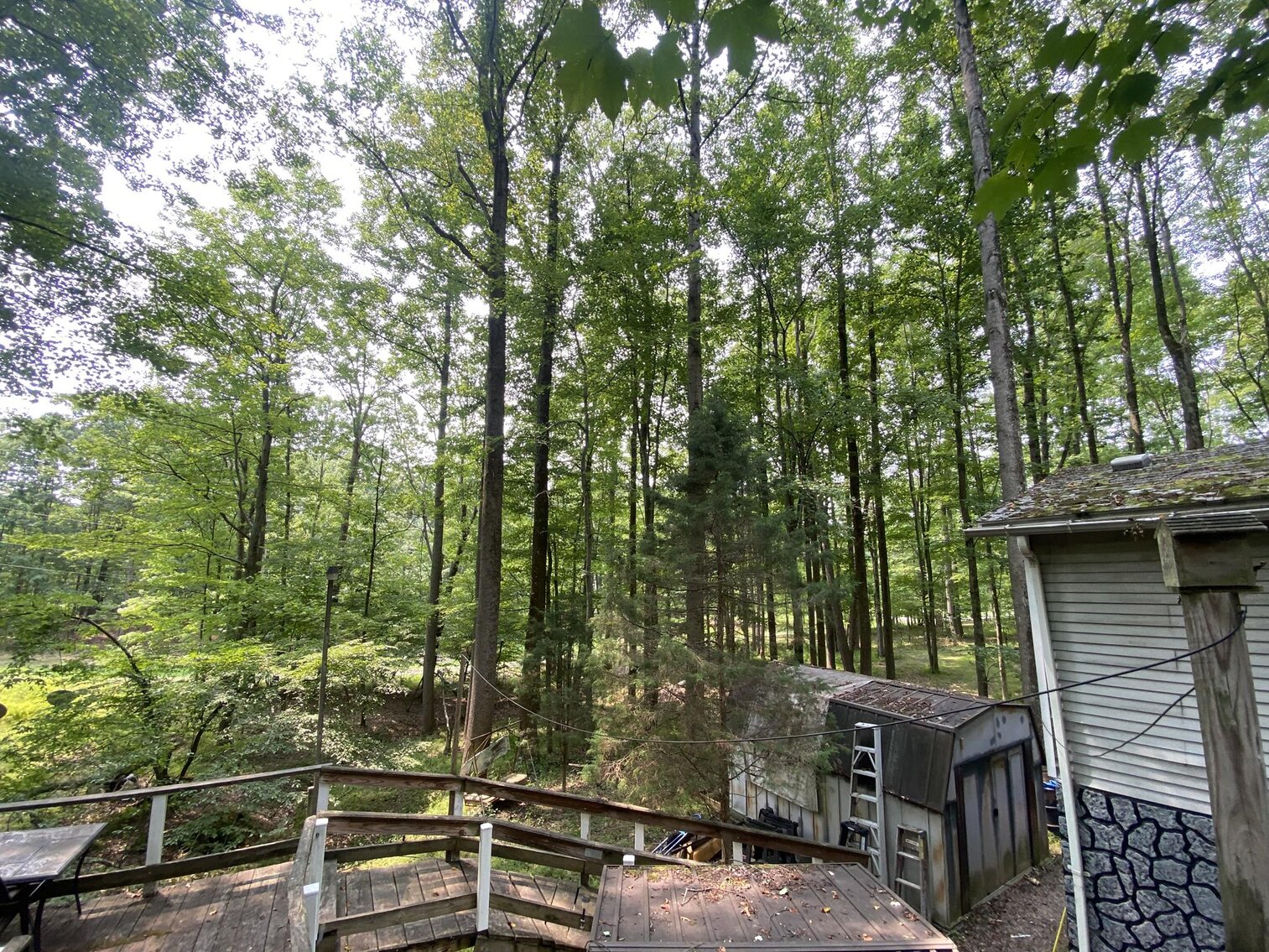 Image for SOLD $151,250 - 2.5 Wooded Acres with Mobile Home Selling to the Highest Bidder