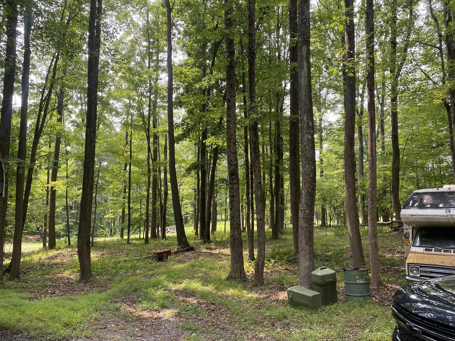 Image for SOLD $151,250 - 2.5 Wooded Acres with Mobile Home Selling to the Highest Bidder