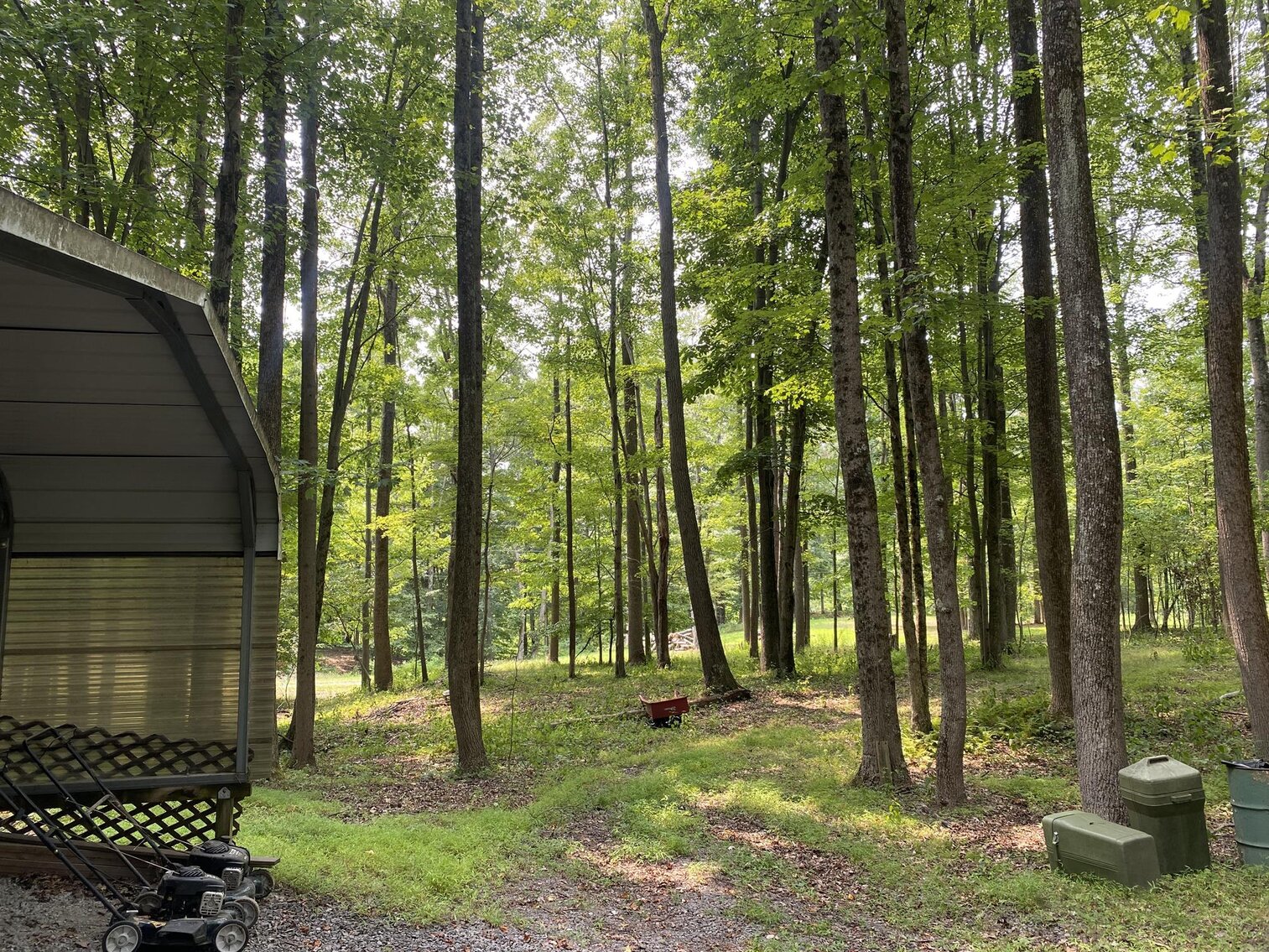 Image for SOLD $151,250 - 2.5 Wooded Acres with Mobile Home Selling to the Highest Bidder