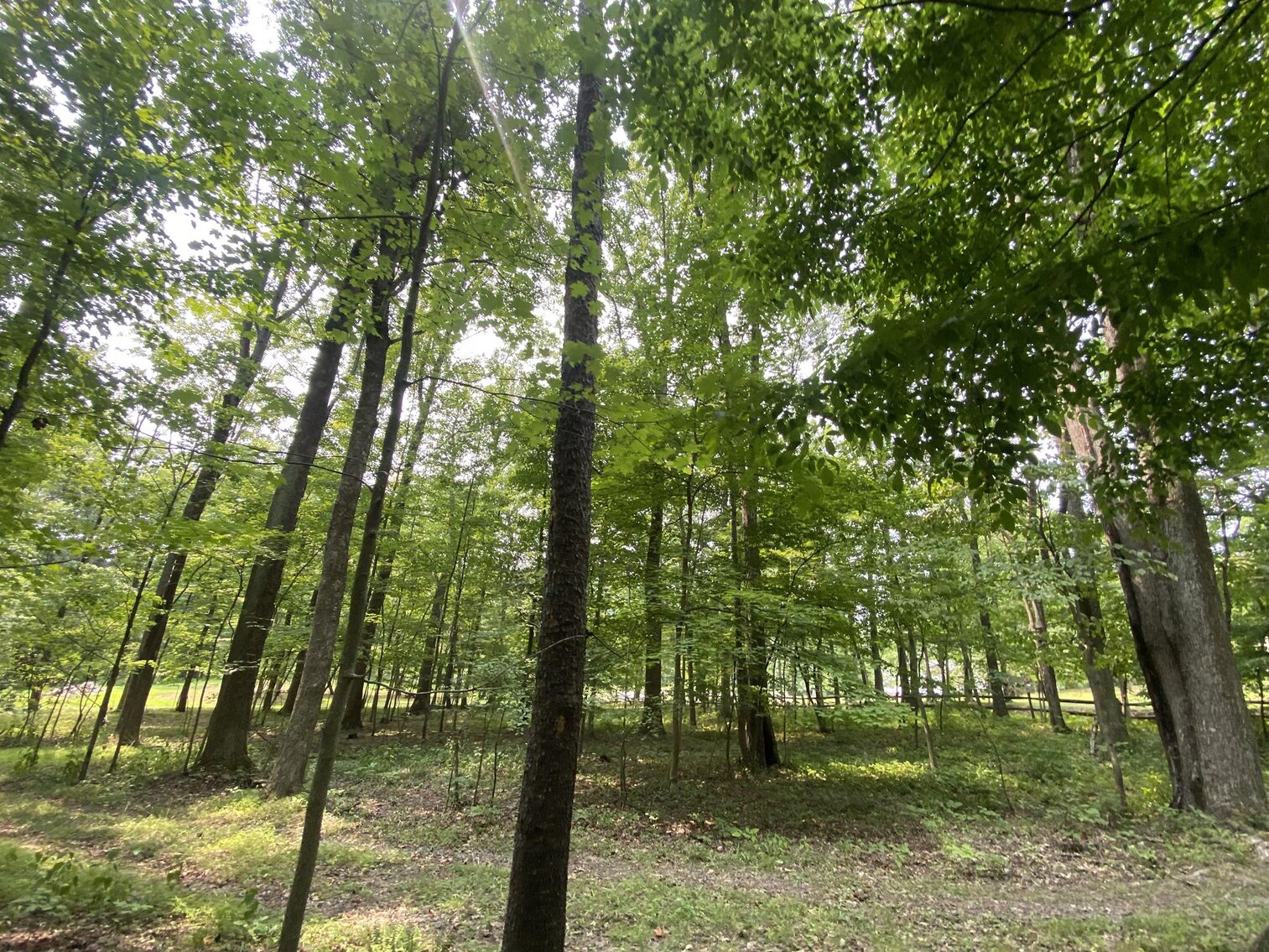 Image for SOLD $151,250 - 2.5 Wooded Acres with Mobile Home Selling to the Highest Bidder