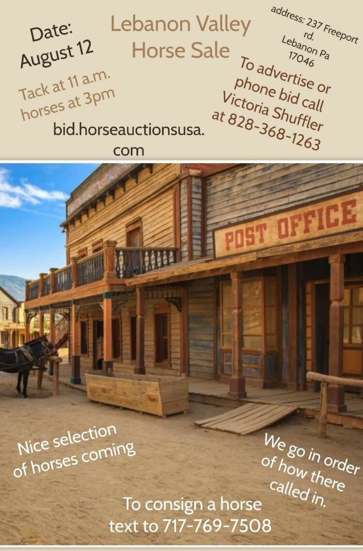 Image for Lebanon Valley Horse Sale August 12th