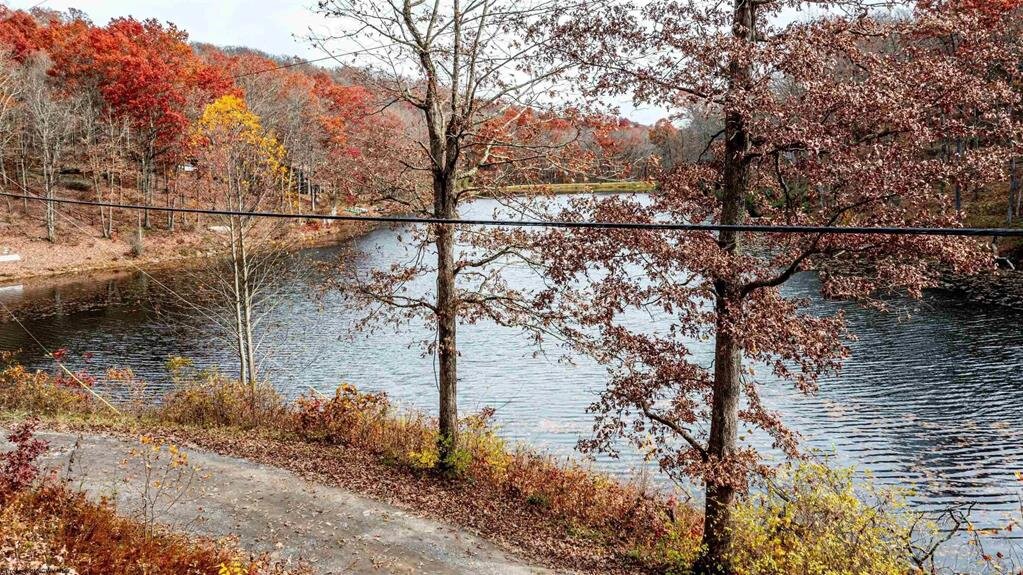 Image for SOLD $17,600 - Double Lot at Wildwood Lake Selling to the Highest Bidder