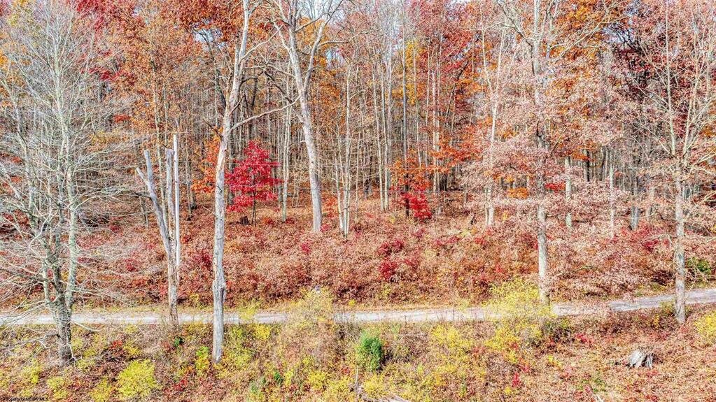 Image for SOLD $17,600 - Double Lot at Wildwood Lake Selling to the Highest Bidder