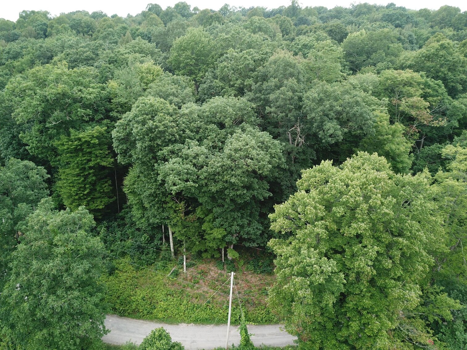 Image for SOLD $17,600 - Double Lot at Wildwood Lake Selling to the Highest Bidder