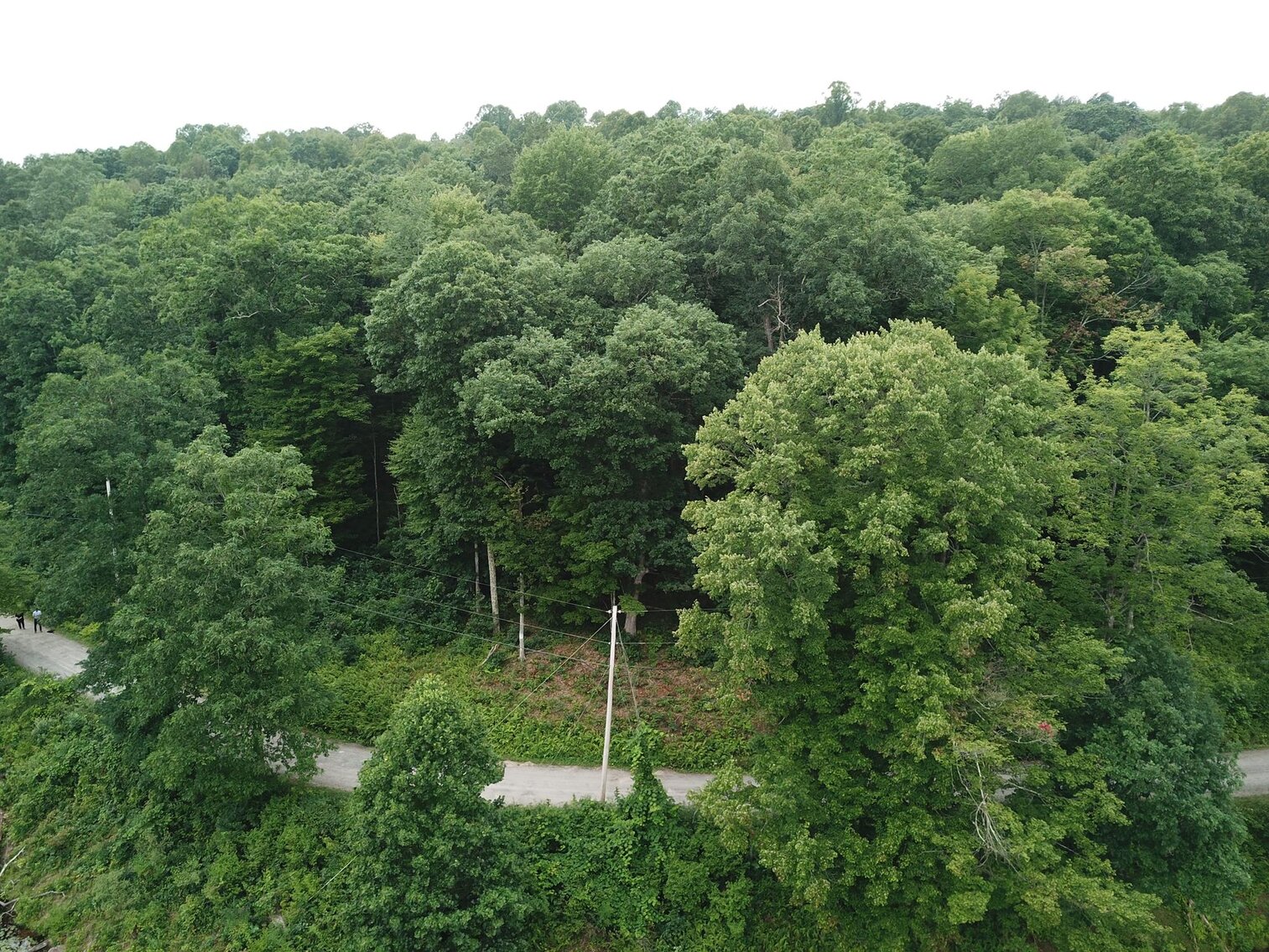 Image for SOLD $17,600 - Double Lot at Wildwood Lake Selling to the Highest Bidder