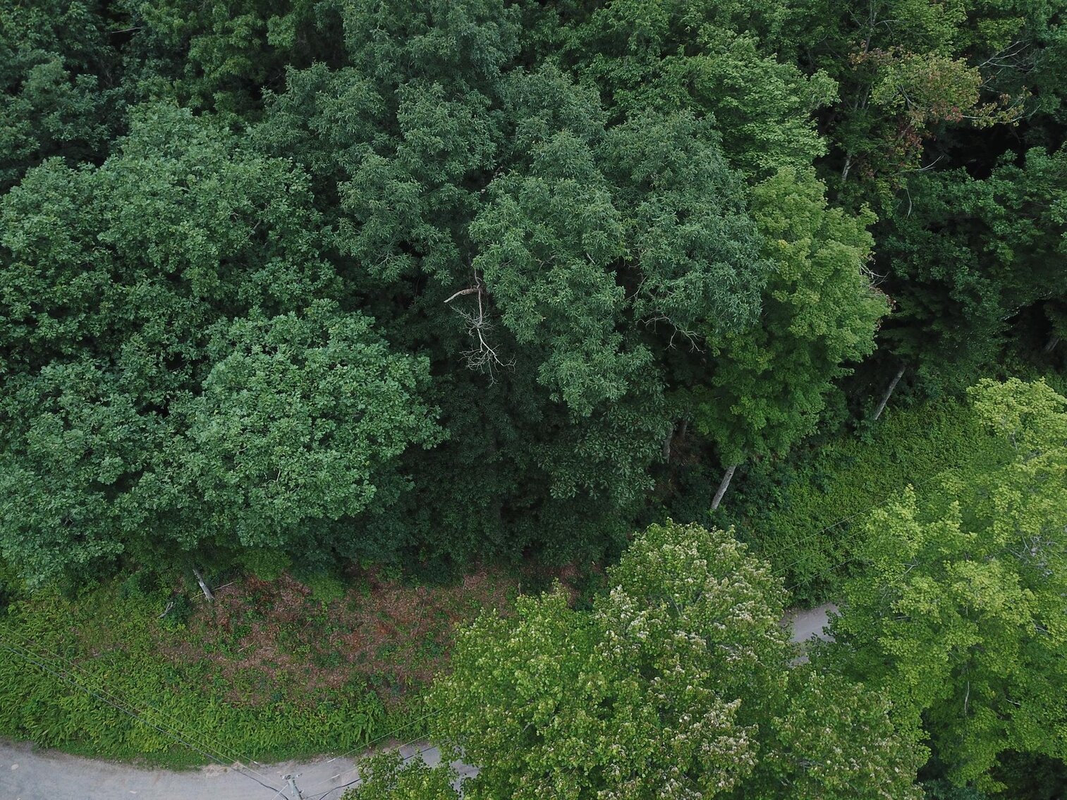 Image for SOLD $17,600 - Double Lot at Wildwood Lake Selling to the Highest Bidder