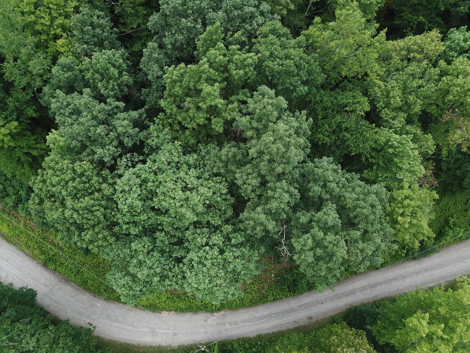 Image for SOLD $17,600 - Double Lot at Wildwood Lake Selling to the Highest Bidder