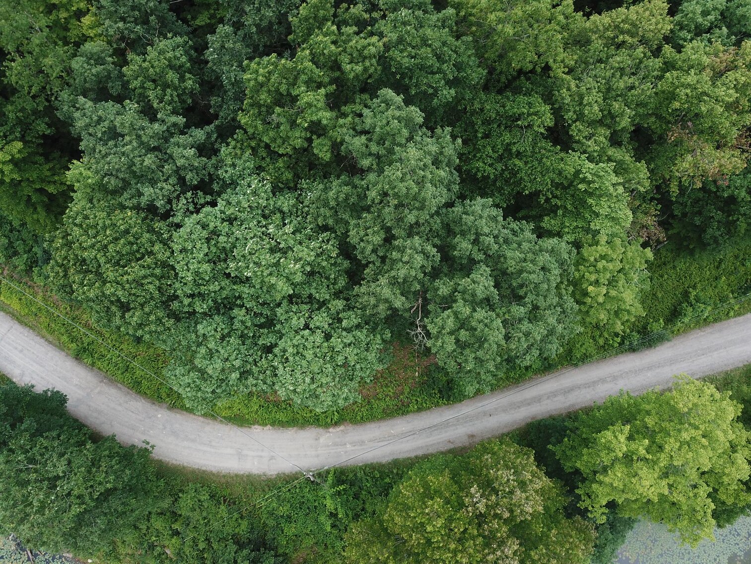 Image for SOLD $17,600 - Double Lot at Wildwood Lake Selling to the Highest Bidder