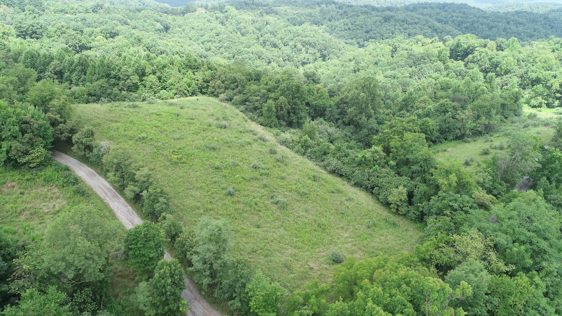 Image for SOLD $162,250 - 3 Bedroom on 39 Acres Selling to the Highest Bidder