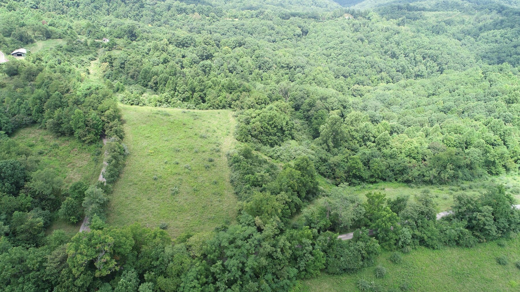 Image for SOLD $162,250 - 3 Bedroom on 39 Acres Selling to the Highest Bidder