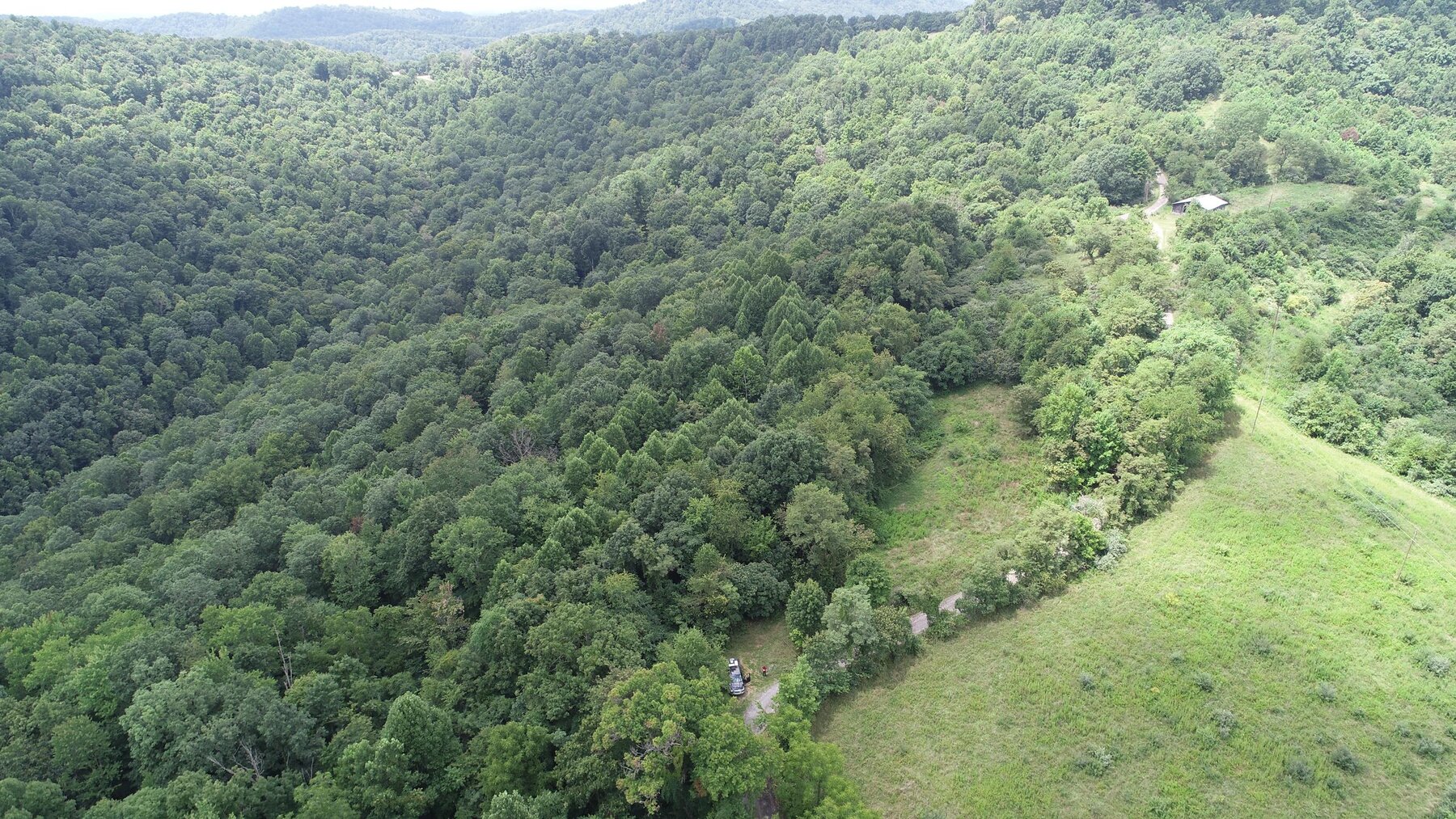 Image for SOLD $162,250 - 3 Bedroom on 39 Acres Selling to the Highest Bidder