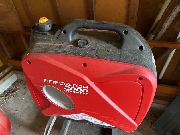 Image for Danke - Navarino Road Auction