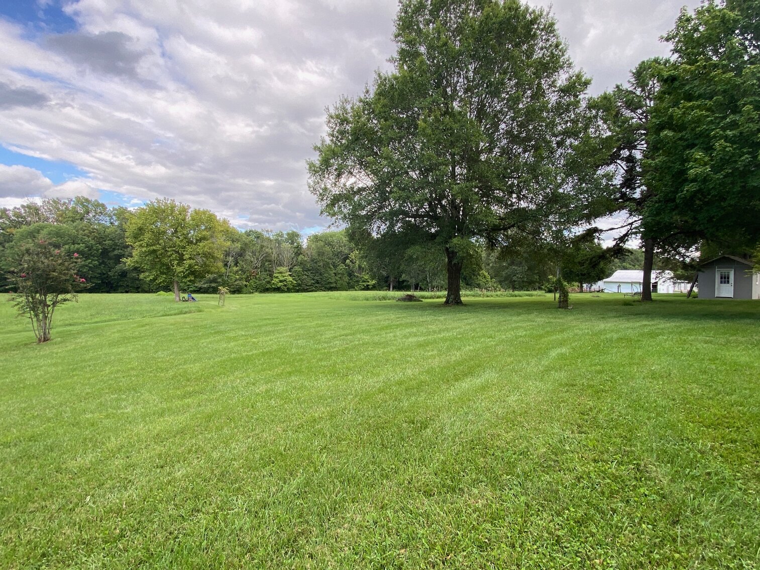 Image for ABSOLUTE LIVING ESTATE AUCTION - MAYFIELD-METROPOLIS RD, PADUCAH KY