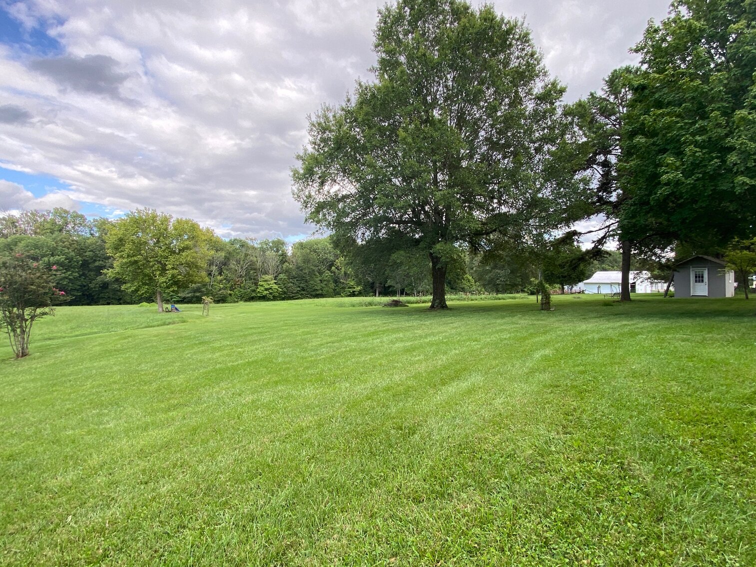 Image for ABSOLUTE LIVING ESTATE AUCTION - MAYFIELD-METROPOLIS RD, PADUCAH KY