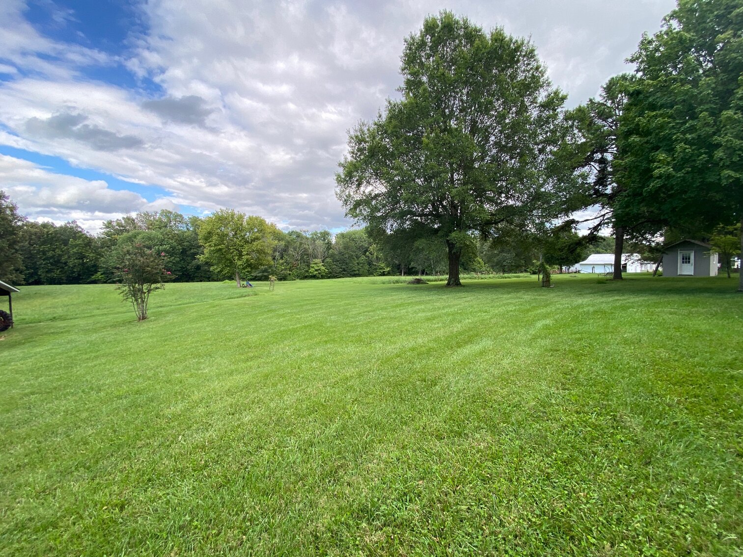 Image for ABSOLUTE LIVING ESTATE AUCTION - MAYFIELD-METROPOLIS RD, PADUCAH KY