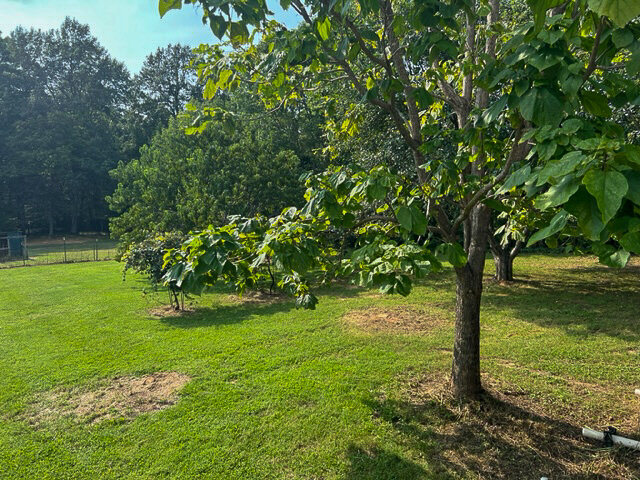 Image for 8891 US Highway 431 S・Dunmor・KY