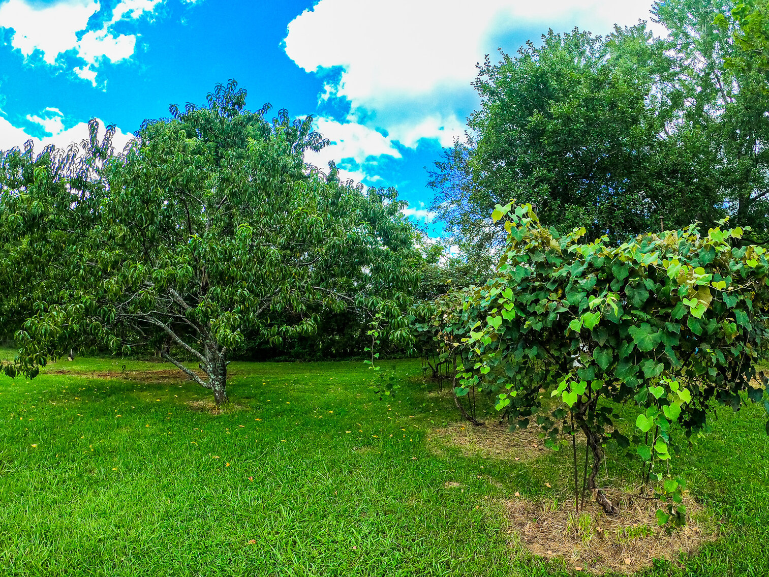 Image for 8891 US Highway 431 S・Dunmor・KY