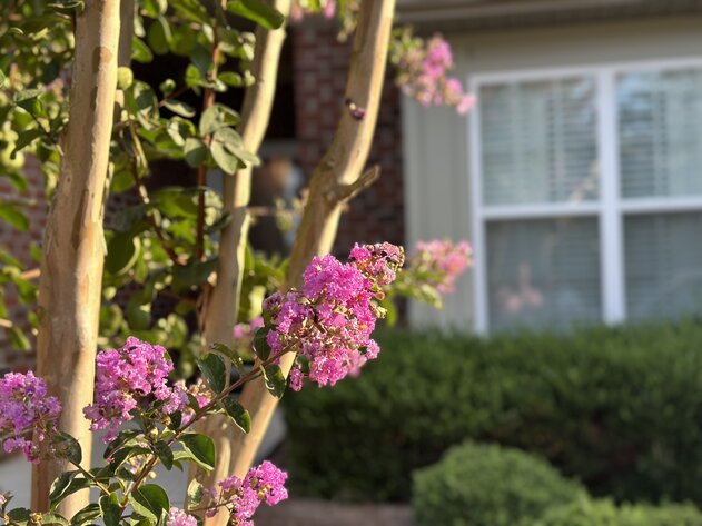 Image for Davie Townhouse Auction