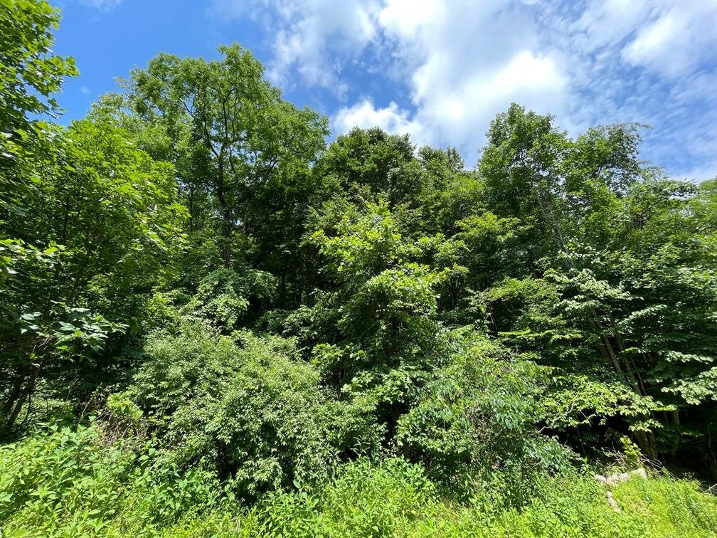 Image for SOLD $16,500 - 15 Acres Selling to the Highest Bidder