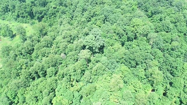 Image for SOLD $16,500 - 15 Acres Selling to the Highest Bidder